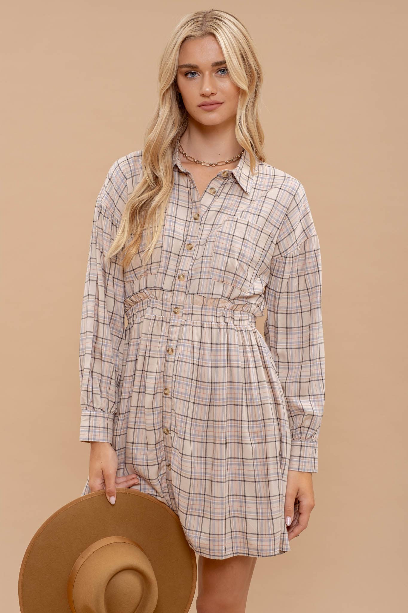 Plaid Collared Button Down Dress