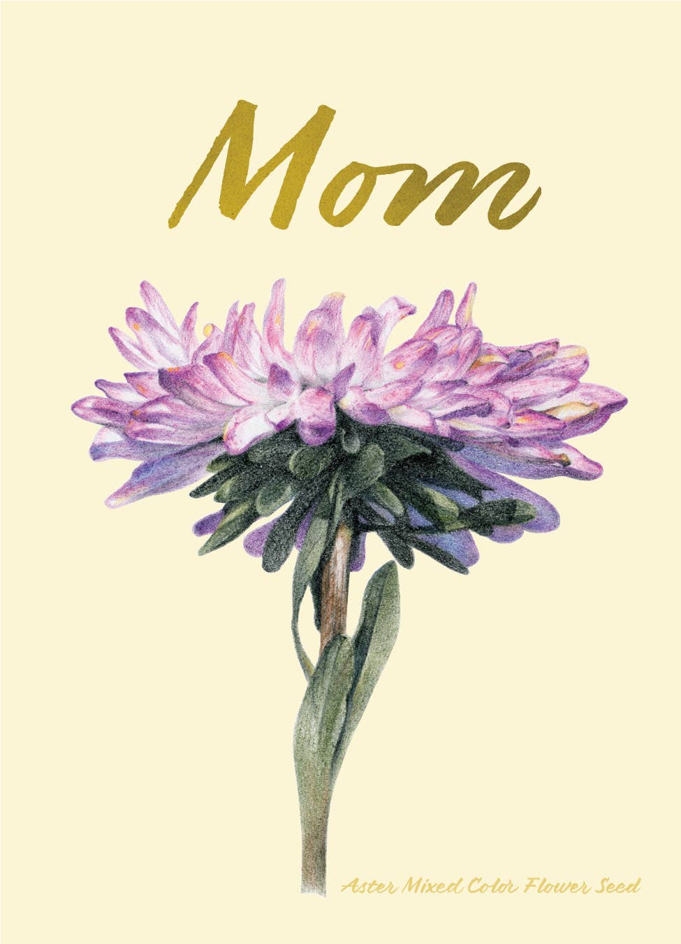 Mom - Aster Flower Seed Packets
