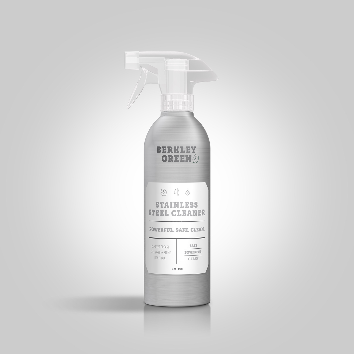 Eco Stainless Steel Cleaner